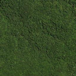 Satellite imagery of PUKEWHARARIKI NO 2, NZ