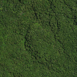 Satellite imagery of PUKEWHARARIKI NO 2, NZ
