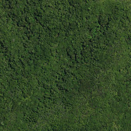 Satellite imagery of PUKEWHARARIKI NO 2, NZ