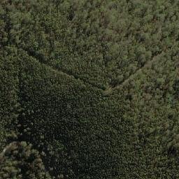 Satellite imagery of Bulls Head, AU