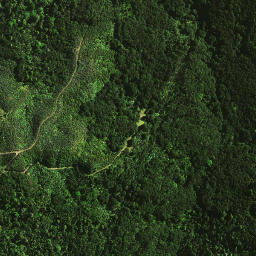 Satellite imagery of 1462, NZ
