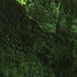 Satellite imagery of 1462, NZ