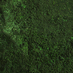 Satellite imagery of 1462, NZ