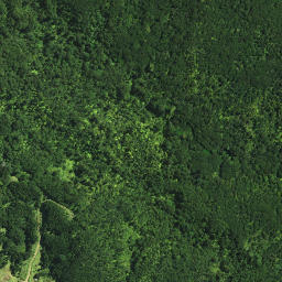 Satellite imagery of Purere Pa, NZ