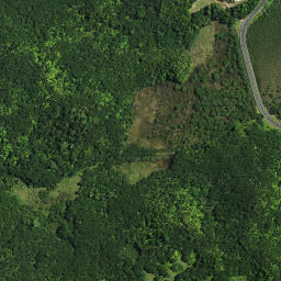 Satellite imagery of Purere Pa, NZ