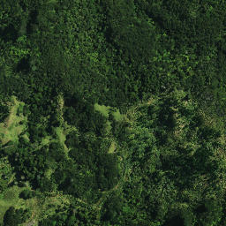 Satellite imagery of Motuti Pa, NZ