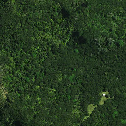 Satellite imagery of Motuti Pa, NZ