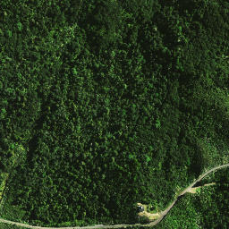 Satellite imagery of 1462, NZ