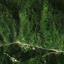 Satellite imagery of 1462, NZ