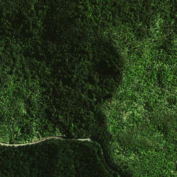 Satellite imagery of 1462, NZ