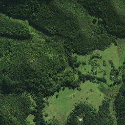 Satellite imagery of Puatamaroa Pa, NZ