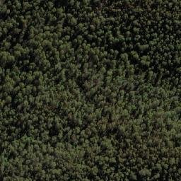 Satellite imagery of Bendora Hill, AU