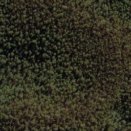 Satellite imagery of Bendora Hill, AU