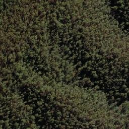Satellite imagery of Bendora Hill, AU