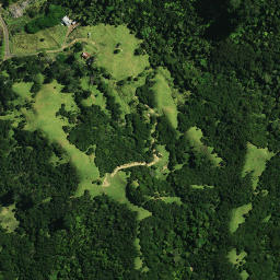 Satellite imagery of Motuti Pa, NZ