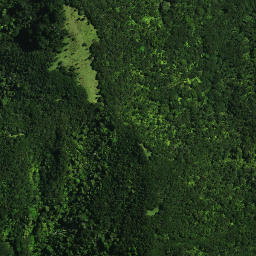 Satellite imagery of Motuti Pa, NZ