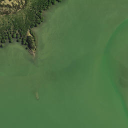 Satellite imagery of Motukauri Pa, NZ