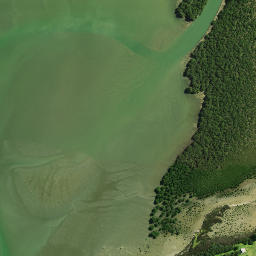 Satellite imagery of Motukauri Pa, NZ