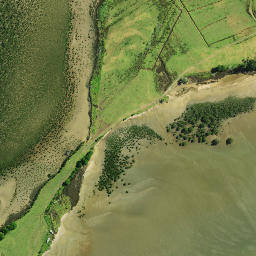 Satellite imagery of Motukauri Pa, NZ