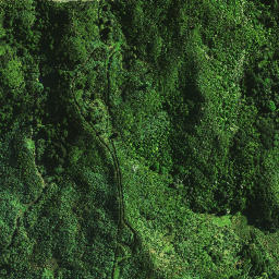 Satellite imagery of 1462, NZ