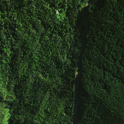 Satellite imagery of 1462, NZ