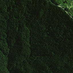 Satellite imagery of 1462, NZ