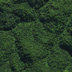 Satellite imagery of TE RANGI NO 2, NZ