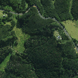Satellite imagery of Puatamaroa Pa, NZ