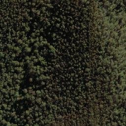 Satellite imagery of Bendora Hill, AU
