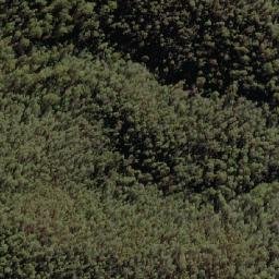 Satellite imagery of Bendora Hill, AU
