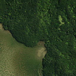 Satellite imagery of Motuti Pa, NZ
