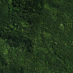 Satellite imagery of Motuti Pa, NZ