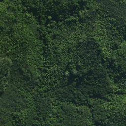 Satellite imagery of Toukohe Pa, NZ