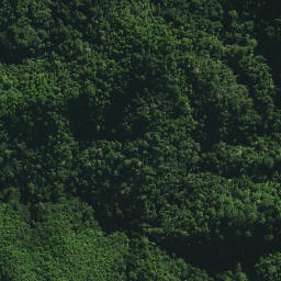 Satellite imagery of TE RANGI NO 2, NZ