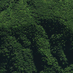 Satellite imagery of TE RANGI NO 2, NZ