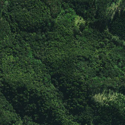 Satellite imagery of Puatamaroa Pa, NZ