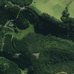 Satellite imagery of Puatamaroa Pa, NZ