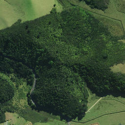 Satellite imagery of Puatamaroa Pa, NZ