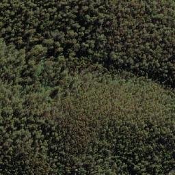 Satellite imagery of Bendora Hill, AU