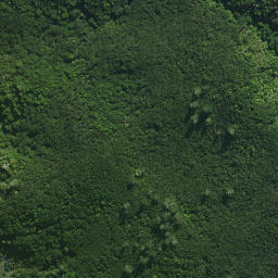 Satellite imagery of Toukohe Pa, NZ