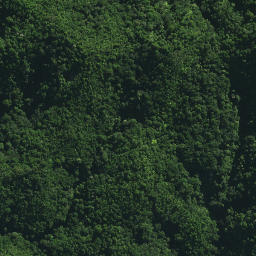 Satellite imagery of TE RANGI NO 2, NZ
