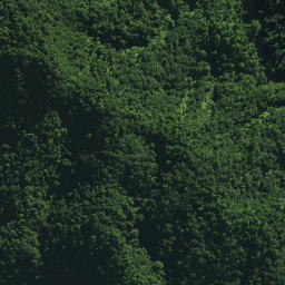 Satellite imagery of TE RANGI NO 2, NZ