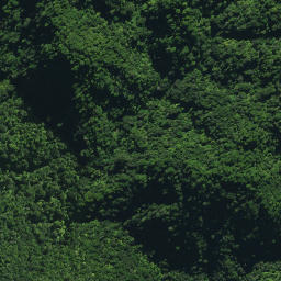 Satellite imagery of TE RANGI NO 2, NZ