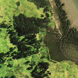 Satellite imagery of T (Mangamuka SD), NZ