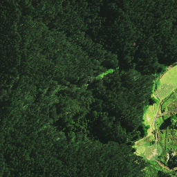 Satellite imagery of A1 RAWENE, NZ