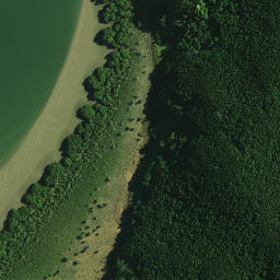 Satellite imagery of Takapuna Pa, NZ