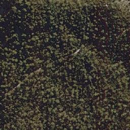 Satellite imagery of Ryries Gap, AU