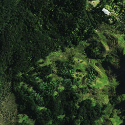 Satellite imagery of T (Mangamuka SD), NZ