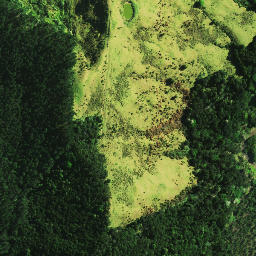 Satellite imagery of Takapuna Pa, NZ
