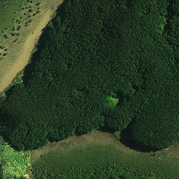 Satellite imagery of Takapuna Pa, NZ